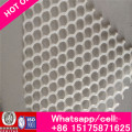 Chicken Mesh /Plastic Flat Net/Plastic Flat Netting Forpolyethylene and Plastic Grid Polypropylene